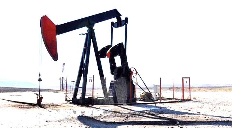 Cumhurbaşkanı kararı ile dev sermayeli 3 yeni şirket kuruldu