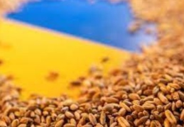 Cumhurbaşkanlığı Sözcüsü Kalın: Ukrayna'dan tahıl taşıyan ilk gemi yarın yola çıkabilir