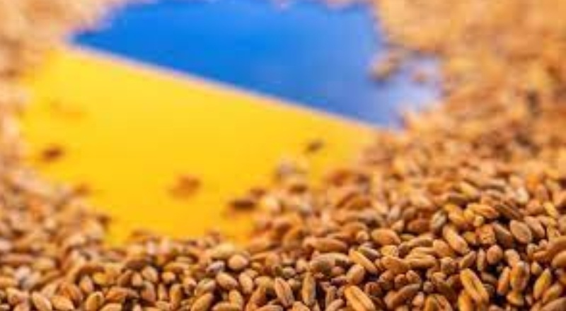 Cumhurbaşkanlığı Sözcüsü Kalın: Ukrayna'dan tahıl taşıyan ilk gemi yarın yola çıkabilir