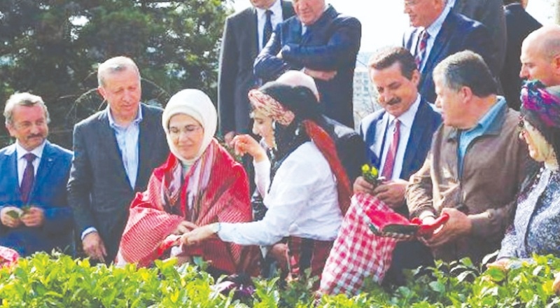 Cumhurbaşkanlığı YİK Üyesi Çiçek'ten yargıçlara: Şimdi kimlerle fotoğrafları çıkıyor, çay toplamaya, zeytin toplamaya bile gidiyorlar