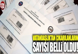 2016’da 3 bin 429 Suriye uyruklu vatandaşlığa alındı