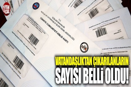 2016&#8217;da 3 bin 429 Suriye uyruklu vatandaşlığa alındı