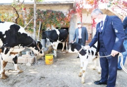 Dağıttığımız hayvanlar çoğaldıkça bizim de mutluluğumuz artıyor