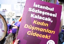 Danıştay kararına iki hakim şerh koydu: Anayasa ve uygulamalara aykırı