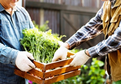 Dar gelirliler gıdaya ulaşmada zorluk yaşayacak