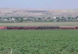 DDY ilaçlama yapacak