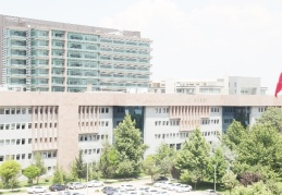 DEAŞ operasyonunda 1 kişi tutuklandı