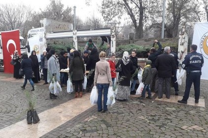 Demokrasi Meydanı&#8217;nda 20 bin fidan dağıtıldı