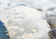 Deniz salyası Karadeniz’de de görülmeye başlandı