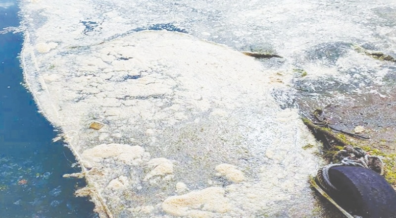 Deniz salyası Karadeniz’de de görülmeye başlandı