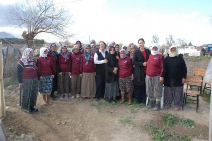 Denizli&#8217;den Avrupa&#8217;ya ceviz fidanı ihraç edildi