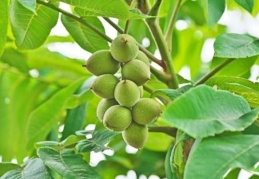 Deprem bölgelerinde tarımsal altyapı büyük zarar gördü