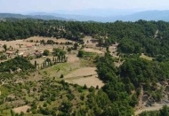 Deprem kararnamesi: Tarım ve orman alanları yok edilirse yeni afetler kapıda