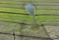 Depremlerden etkilenen çiftçilerin borç ertelemesi yeniden düzenlendi