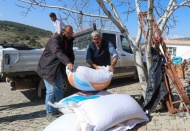 Depremzede besicilere 2 bin ton yem desteği verildi