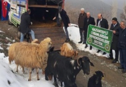 Depremzedelere, 53 koyun ve keçi verdiler