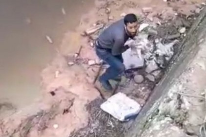 Dereye düşen kediyi kurtardı