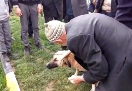 Dereye düşen köpeği suya atlayarak kurtardı
