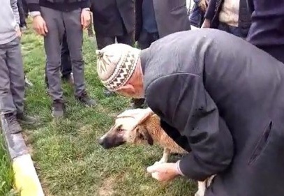 Dereye düşen köpeği suya atlayarak kurtardı