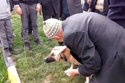 Dereye düşen köpeği suya atlayarak kurtardı