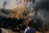 Dev besi çiftliğindeki yangın 22 saatte kontrol altına alındı