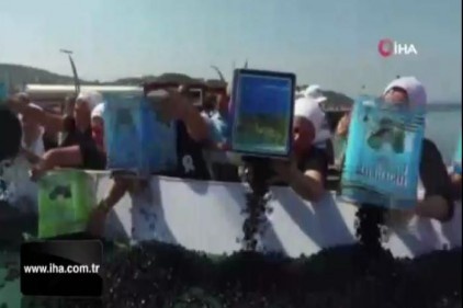Dev zeytin tabağı rekorlar kitabına girdi
