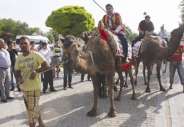 Develerle şenlik çağrısı