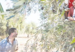 Devlet, çiftçiyi tüccarın eline bırakmamalı