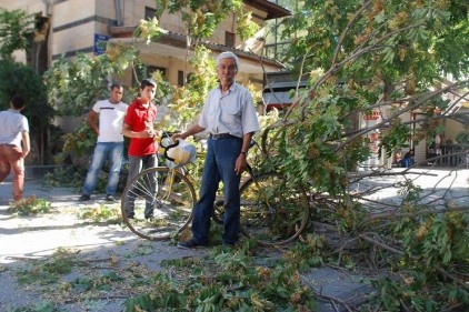 Devrilen ağacın altında kaldı 