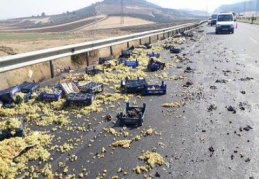 Devrilen araçtaki üzüm ve incirler yola savruldu 