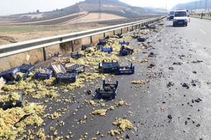 Devrilen araçtaki üzüm ve incirler yola savruldu 