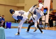 Diyarbakır’da tekvando müsabakaları tamamlandı 