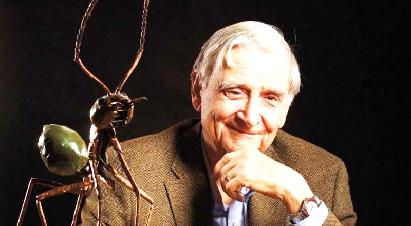 Doğa bilimci Edward O. Wilson yaşamını yitirdi