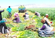 “Türkiye ihtiyacının yüzde 30’unu karşılayacak”