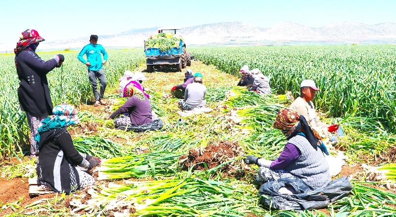 “Türkiye ihtiyacının yüzde 30’unu karşılayacak”