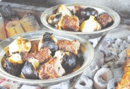 Doğal antibiyotik ve şifa kaynağı