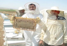 Doğal bal sağımı başladı