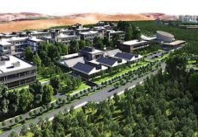 Doğal bilimler ve mühendislik mezunu oranında azalma eğilimi var