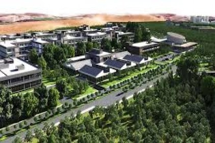 Doğal bilimler ve mühendislik mezunu oranında azalma eğilimi var