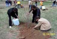 Doğal ormanlarımızın kıymetini bilmeliyiz
