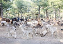 Doğal Yaşam Parkı’nı 2 milyon 750 bin kişi ziyaret etti.