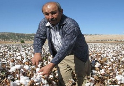 Doğan’dan pamuk işçilerine çağrı