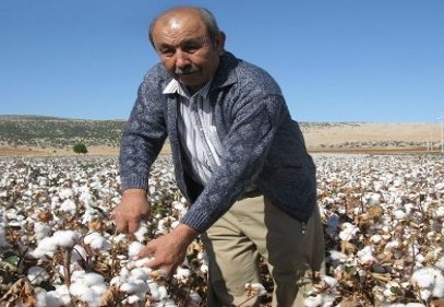 Doğan’dan pamuk işçilerine çağrı