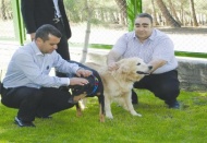 Doğayı bizimle paylaşan sevimli dostların yaşama hakları güvence altına alınmalı