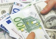 Dolar bir yılda yüzde 30 Avro ise yüzde 40 arttı