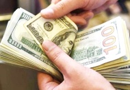 Dolar, güne 14 lira civarında başladı