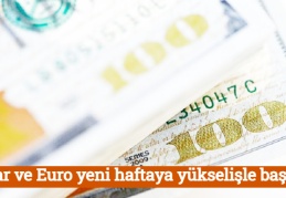 Dolar ve Euro yeni haftaya yükselişle başladı