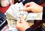 Dolar/TL 14,79 seviyelerinde işlem görüyor