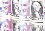 Dolar/TL, 8,50 seviyesinin üzerine çıktı