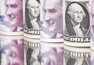Dolar/TL rekor tazeledi